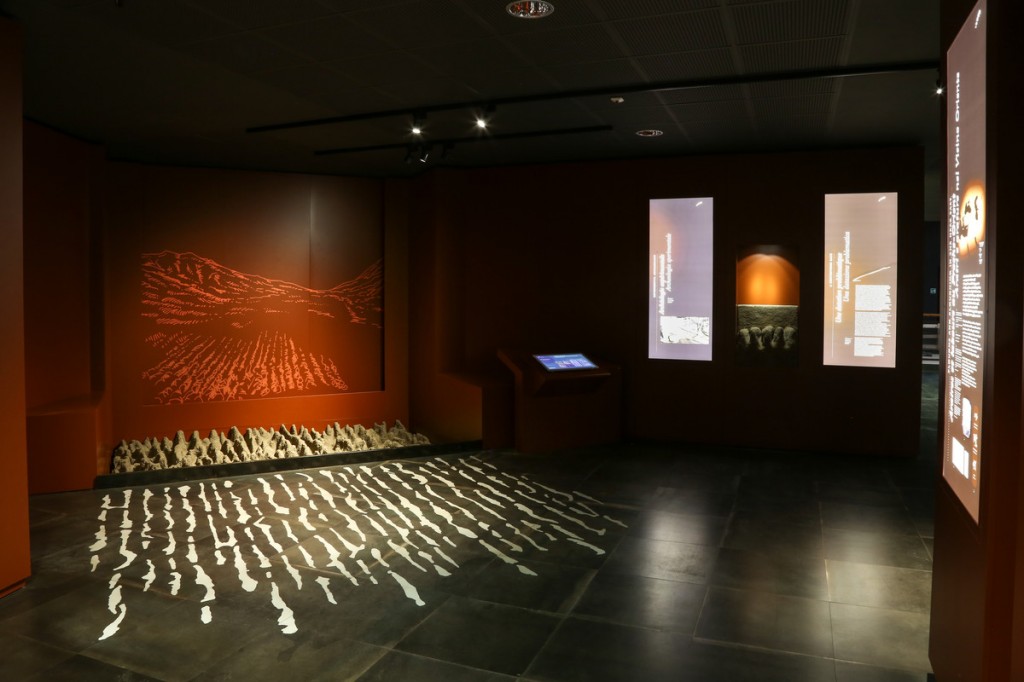 valle-daosta-museo-area-megalitica-saint-martin-de-corleans-aosta-foto-enrico-romanzi-9568-1024x682