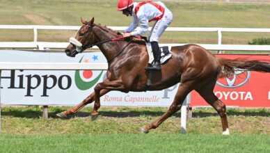 scommesse ippiche online