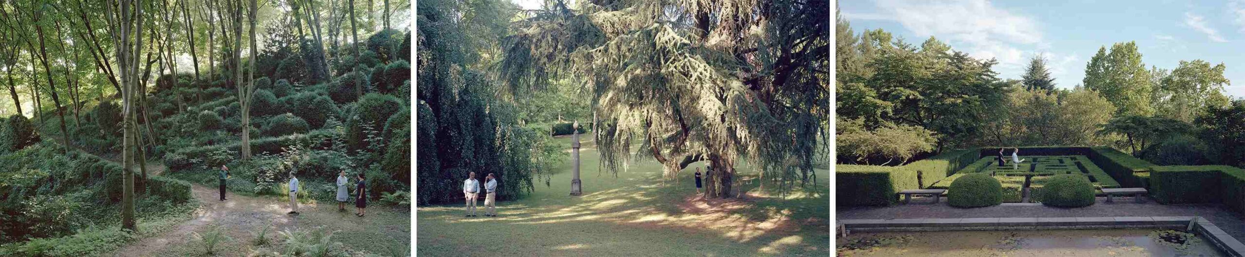 jeff wall the gardens