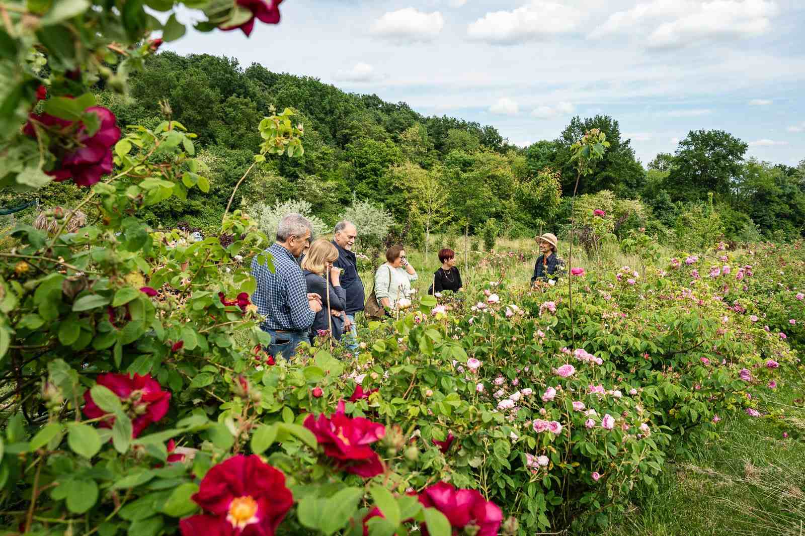 festival del verde torino 2026